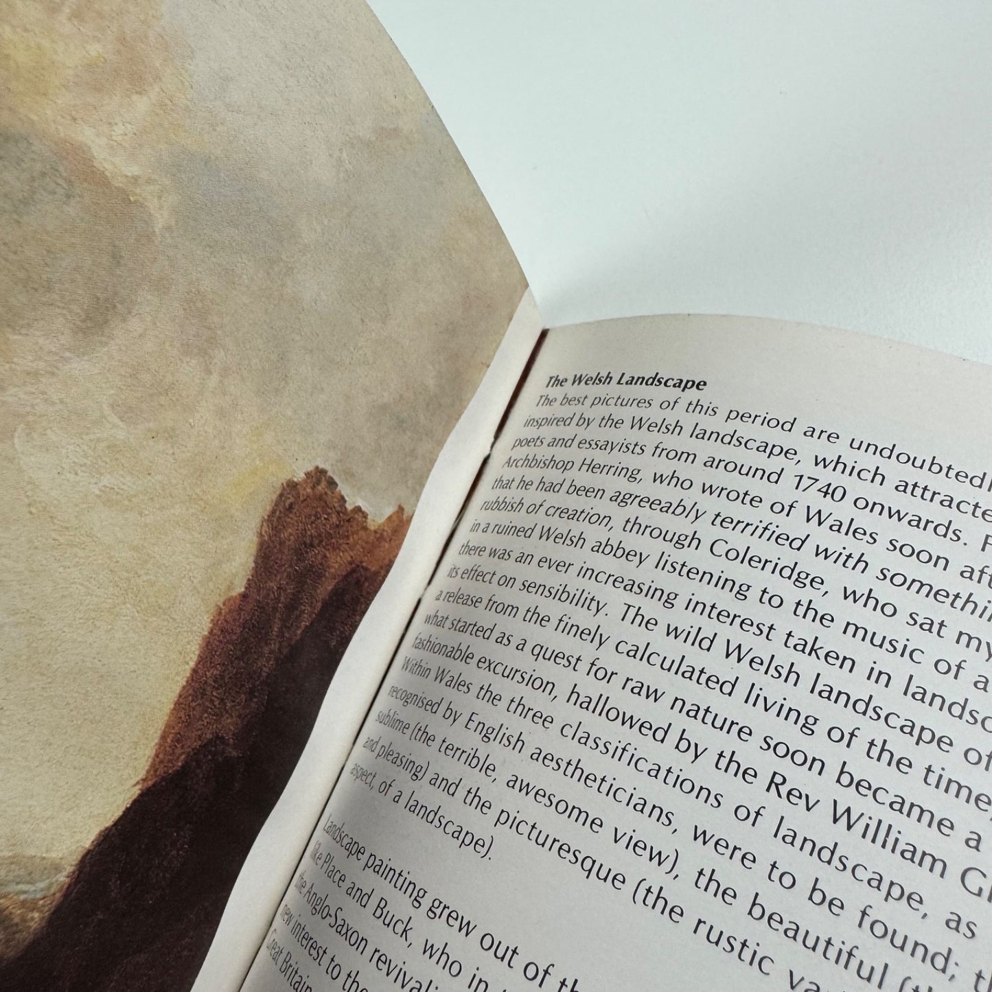 Art in Wales 2000BC-AD1850 ed. Eric Rowan | Welsh Arts Council, 1978