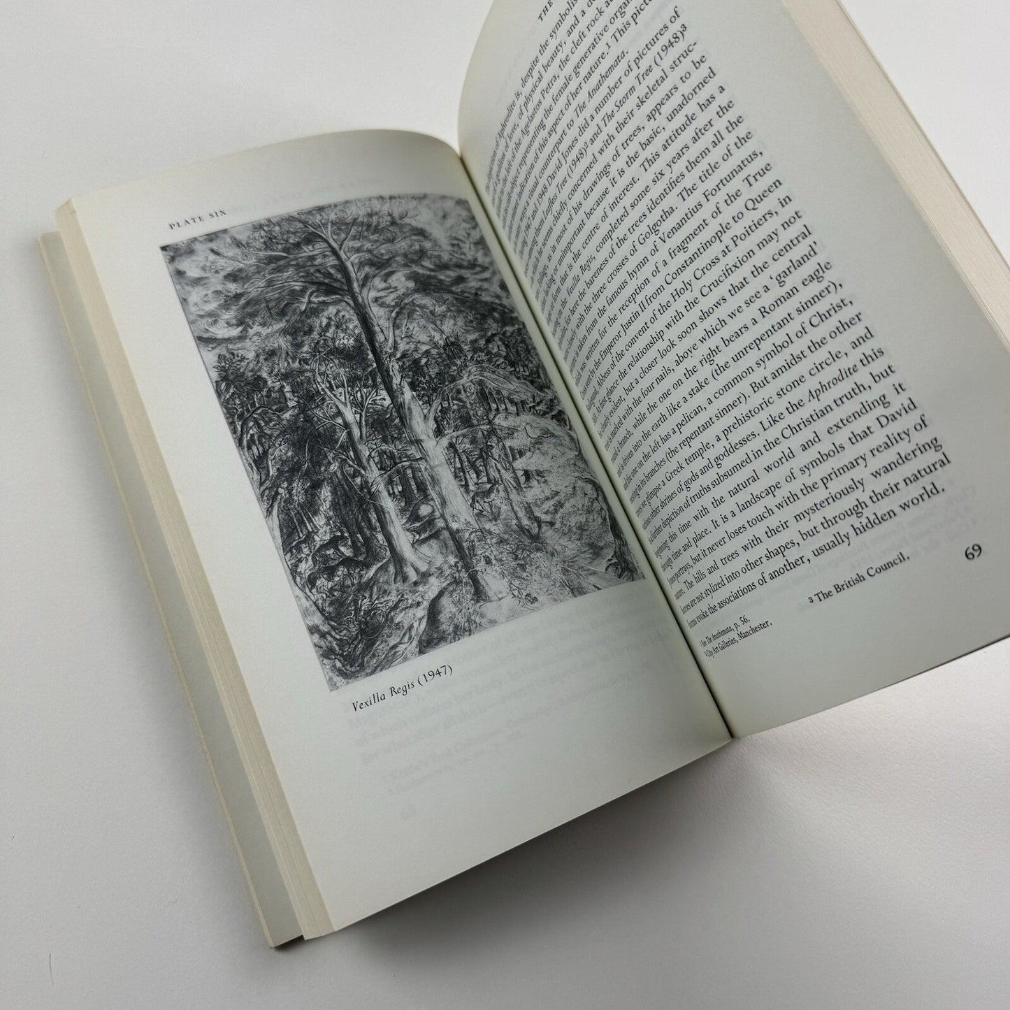 David Jones – artist and writer | David Blamires | Manchester University Press, 1978