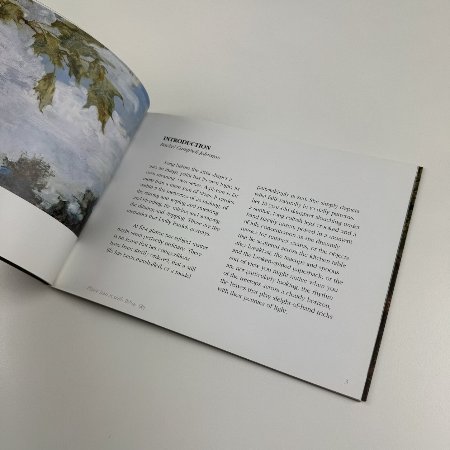 Emily Patrick – Recent Paintings 2002-2005 | The Air Gallery catalogue, 2005