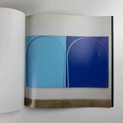 Ian Davenport. Large Scale Paintings | Waddington Galleries, 2000