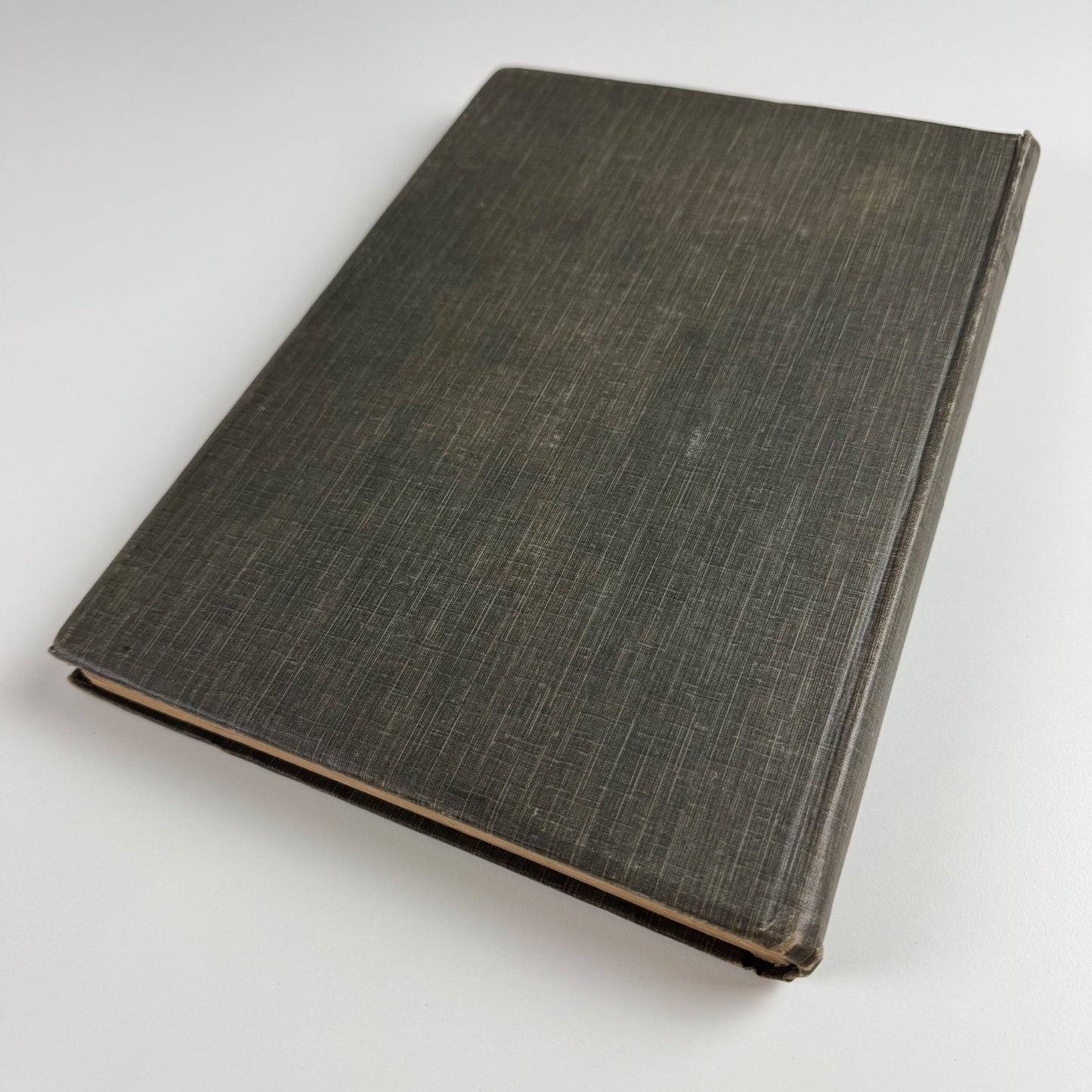 Modern Woodcuts and Lithographs by British and French artists | special edition of The Studio 1919