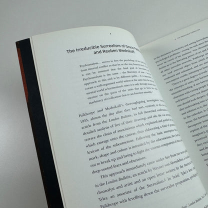 Sluice Gates of the Mind The Collaborative Work of Pailthorpe & Mednikoff | 1998