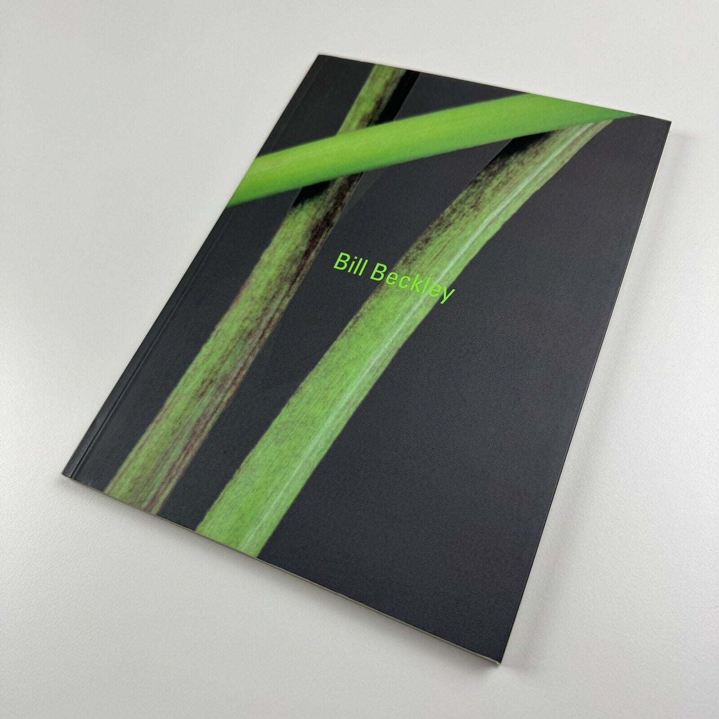 Bill Beckley | Galerie Hans Meyer exhibition catalogue, 2003