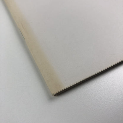 Fall. Monica Ross | Chapter, Wales 1994 exhibition catalogue