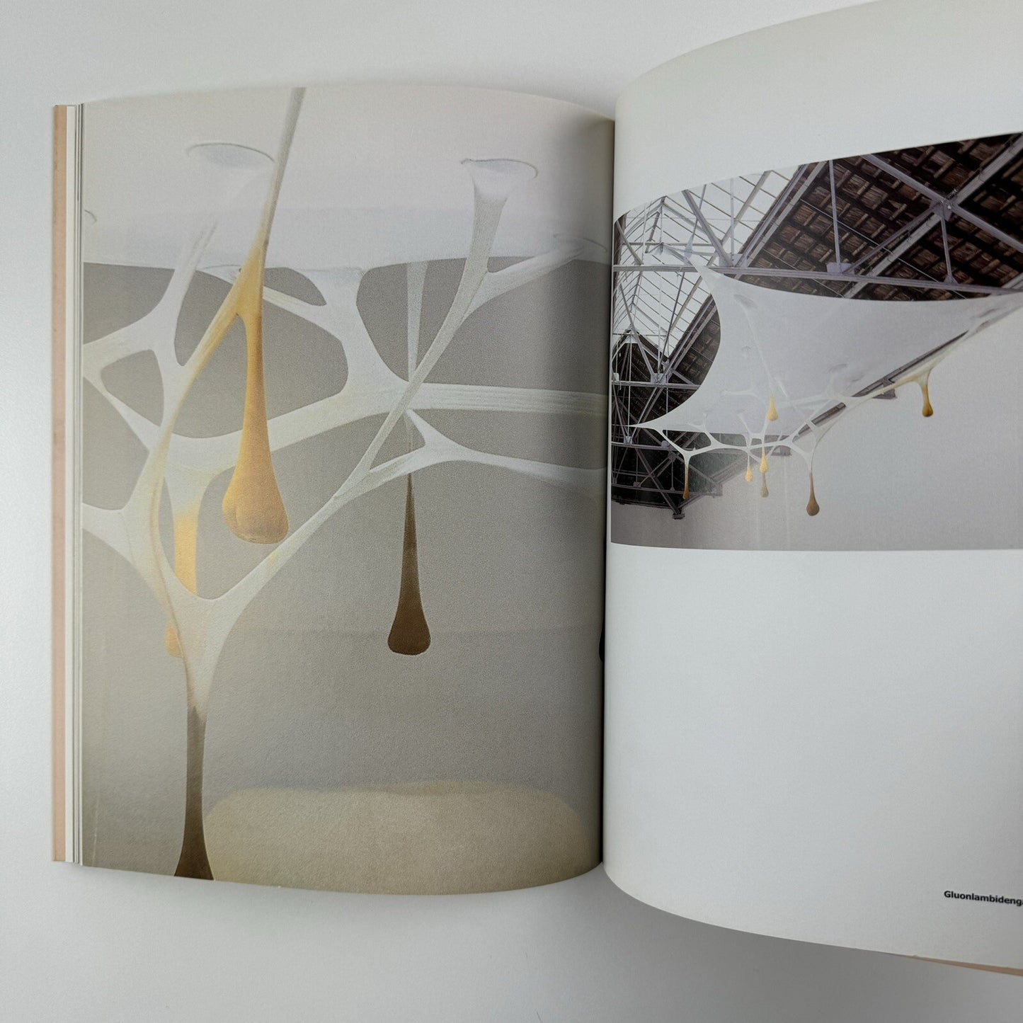 Ernesto Neto. naves, céus, sonhos | Galeria Camargo Vilaça catalogue, 1999