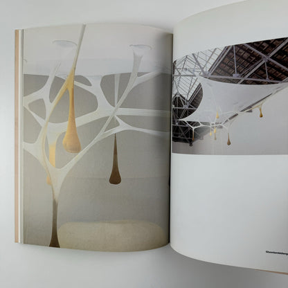 Ernesto Neto. naves, céus, sonhos | Galeria Camargo Vilaça catalogue, 1999