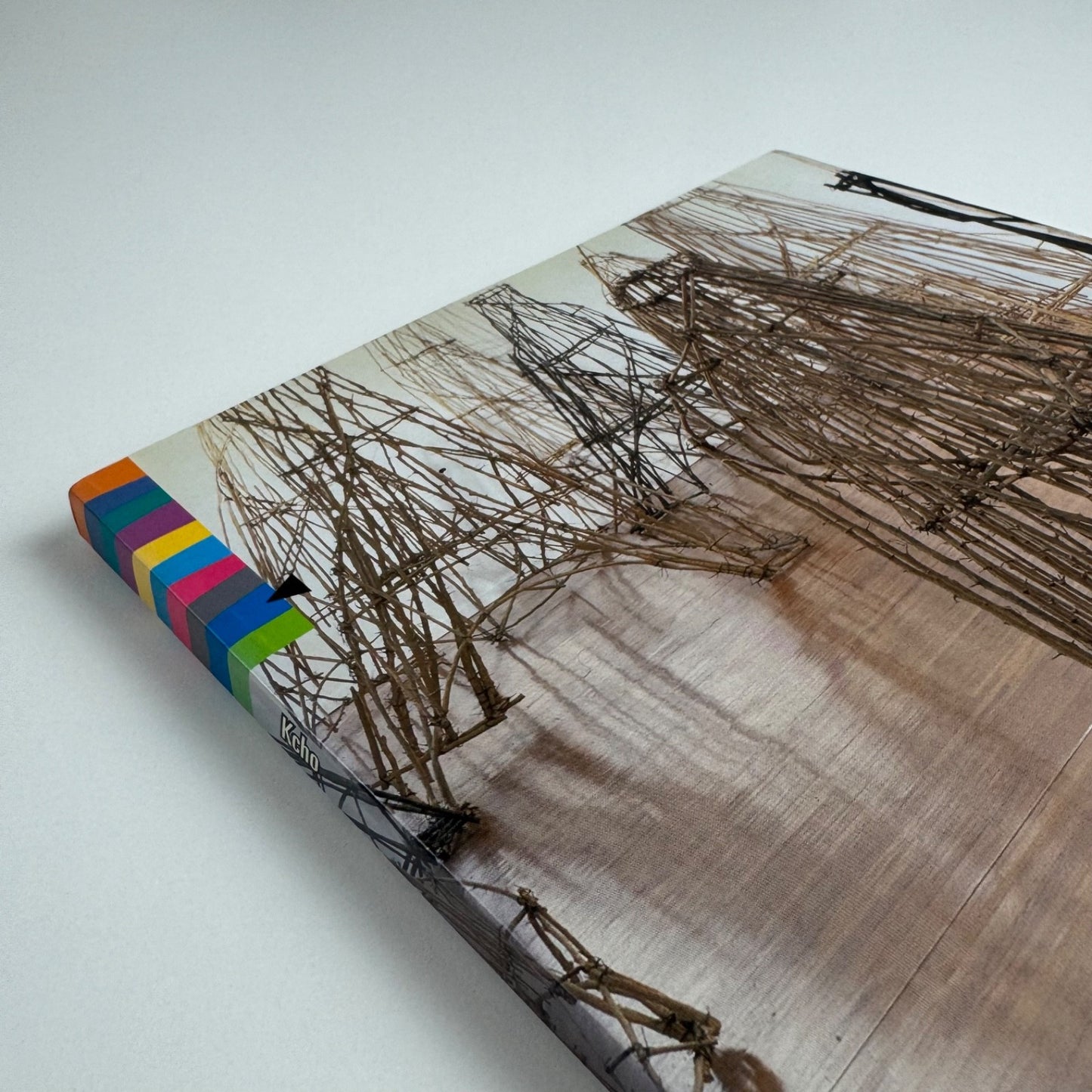 Kcho. La Jungla | GAM Torino, 2002