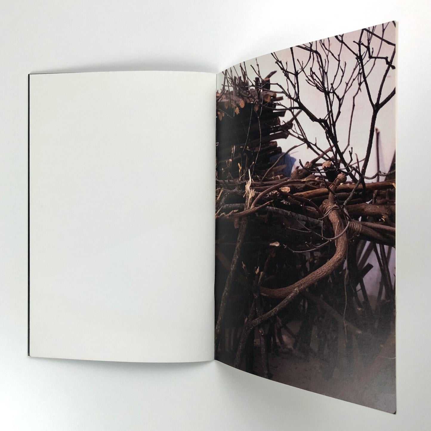 Sim Não – Yes No | Auditório da Fundação de Serralves, 2007 Manuel Castro Caldas