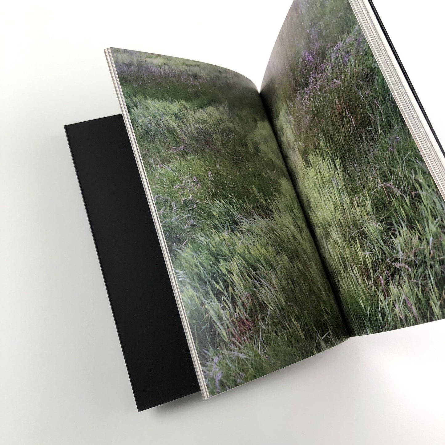 Helen Sear – Tale by David Chandler | Contemporary Temporary Artspace, 2009