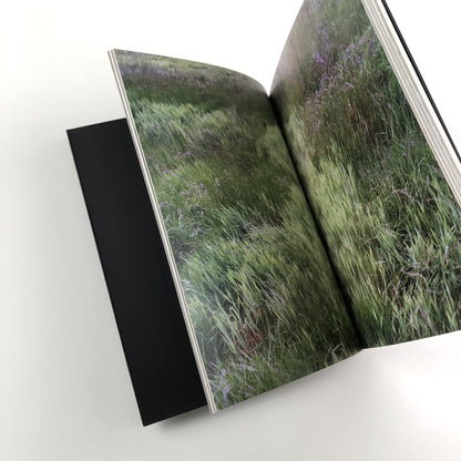 Helen Sear – Tale by David Chandler | Contemporary Temporary Artspace, 2009