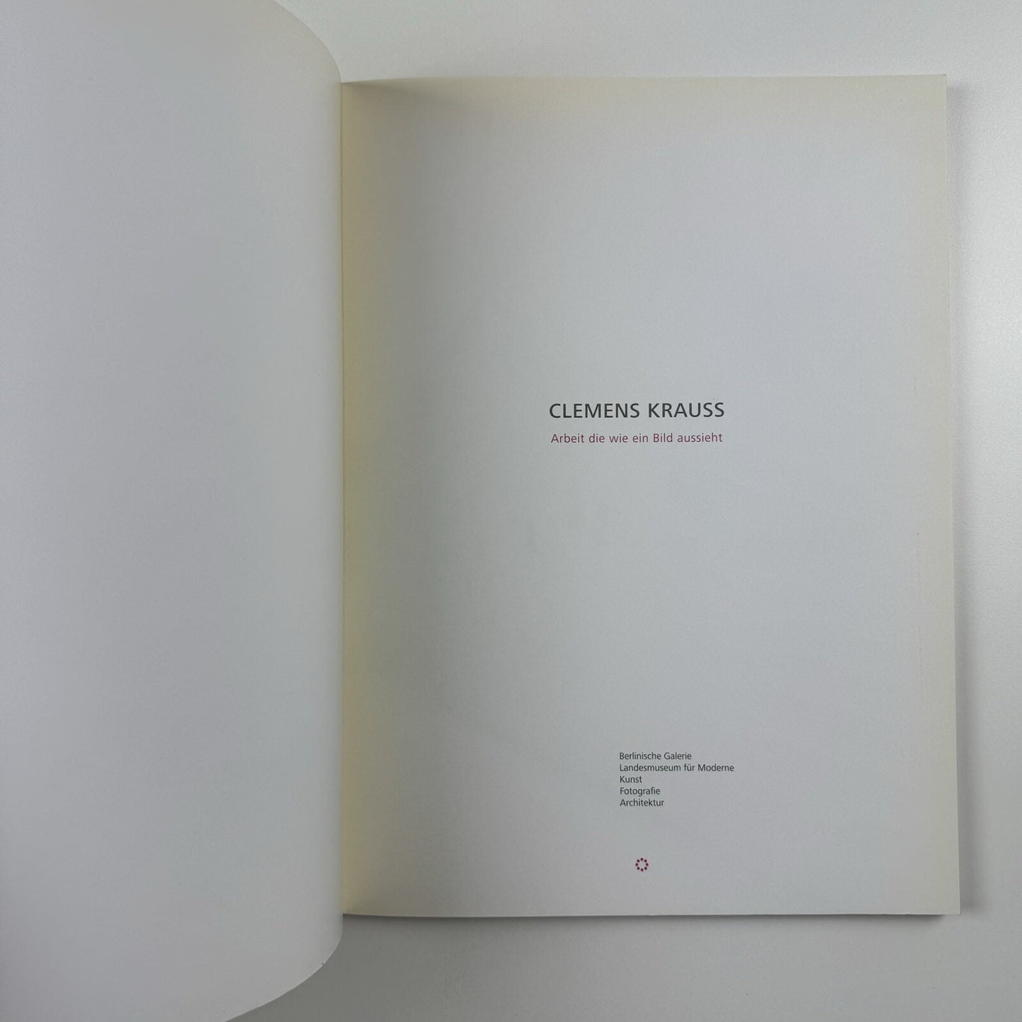 Clemens Krauss. Arbeit die wie ein Bild aussieht | Berlinische Galerie exhibition catalogue, 2007
