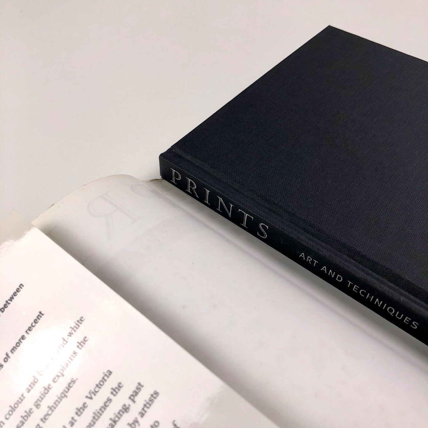Prints: Art and Techniques by Susan Lambert | V&A Publications 2001