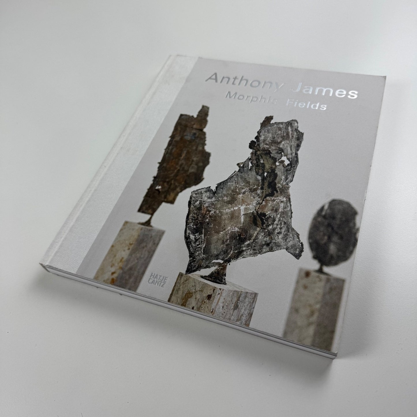 Anthony James. Morphic Fields - Skulpturen | Hatje Cantz, 2014