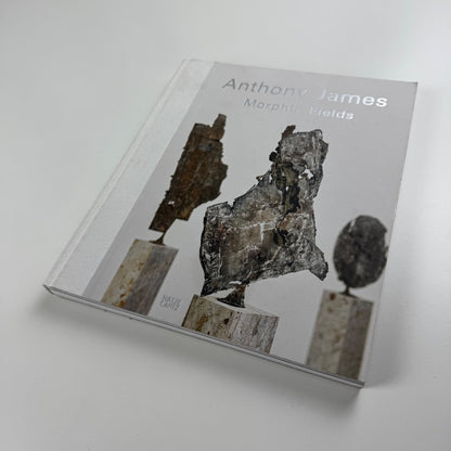 Anthony James. Morphic Fields - Skulpturen | Hatje Cantz, 2014