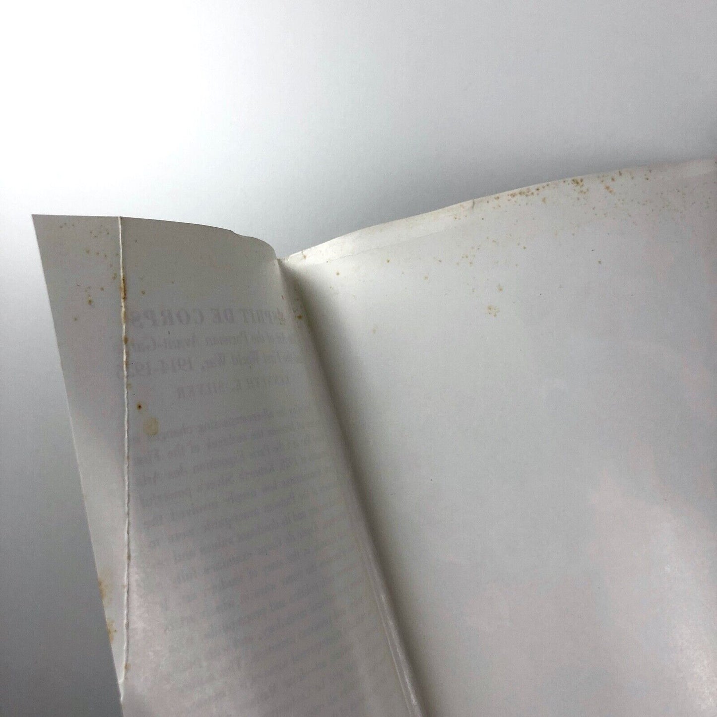 Esprit de Corps: The Art of the Parisian Avant-Garde... Kenneth E. Silver 1989