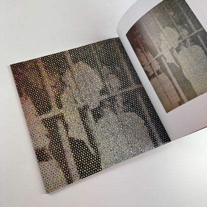 Who knew? Mr Gandhi | Gigi Scaria, Kriti Arora, Vivek Villain, Debanjan Roy | Aicon Gallery, 2008