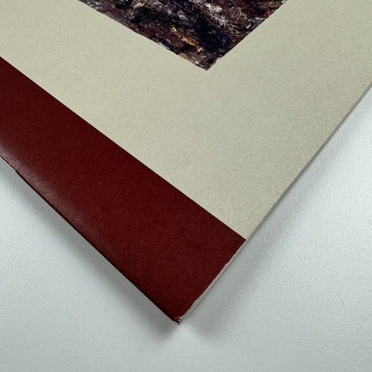 Eugène Leroy. Neue Bilder | Eugene Leroy Michael Werner Cologne, 1998