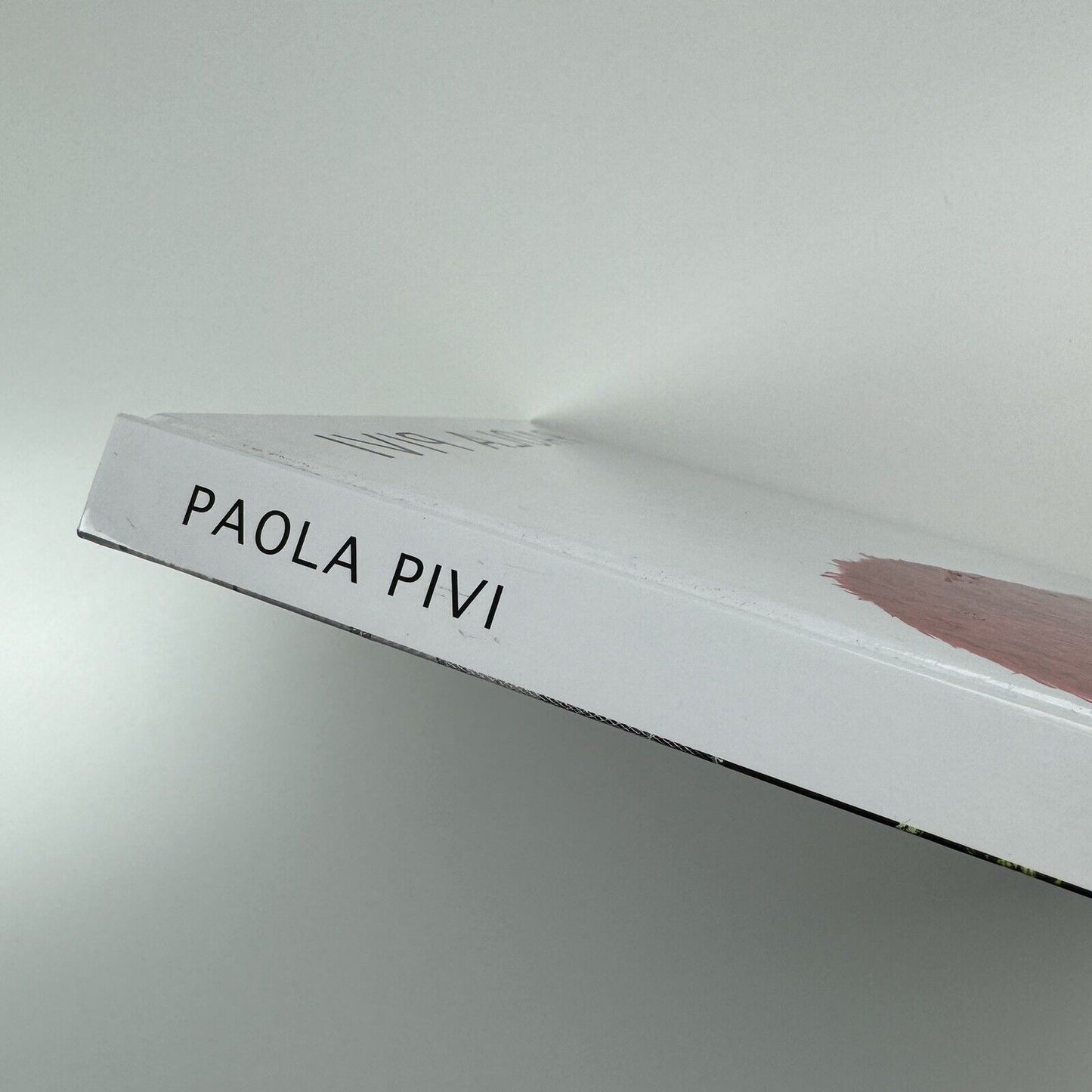 Paola Pivi. Massimiliano Gioni & Jens Hoffmann | Galerie Perrotin, 2013