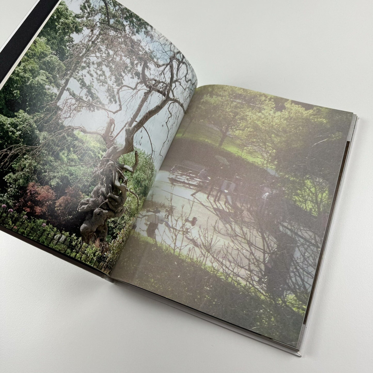 Marie Angeletti - Cranford Collection 4 & 5 | Cranford Arts Guernsey 2014