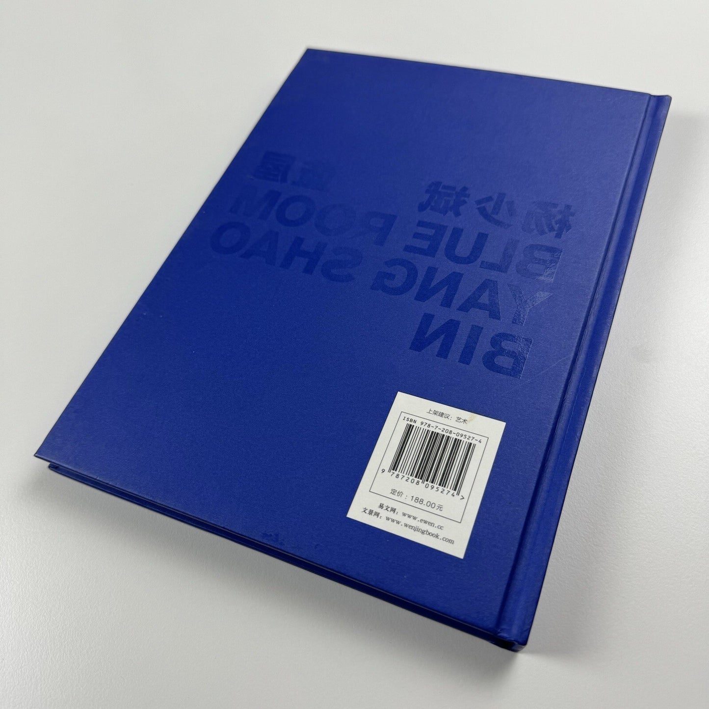 Blue Room. Yang Shao Bin | Ullens Center for Contemporary Art in Beijing, 2010 catalogue