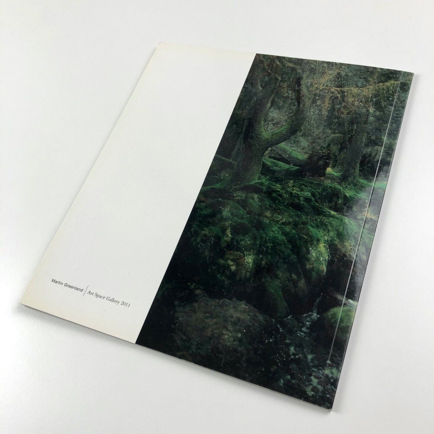 Martin Greenland. Uncharted Land. Paintings 2011 | Art Space Gallery