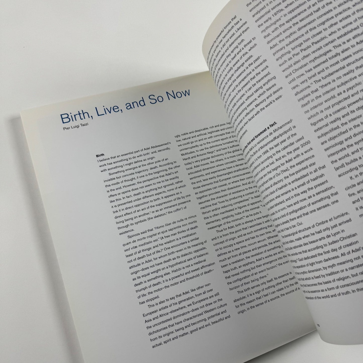 Adel Abdessemed. Situation and Practice | MIT List Visual Arts Center, Boston, 2009