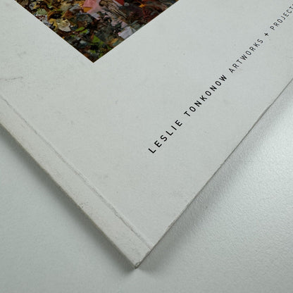 Ali Banisadr Paintings | Leslie Tonkonow Artworks + Projects New York 2008 catalogue