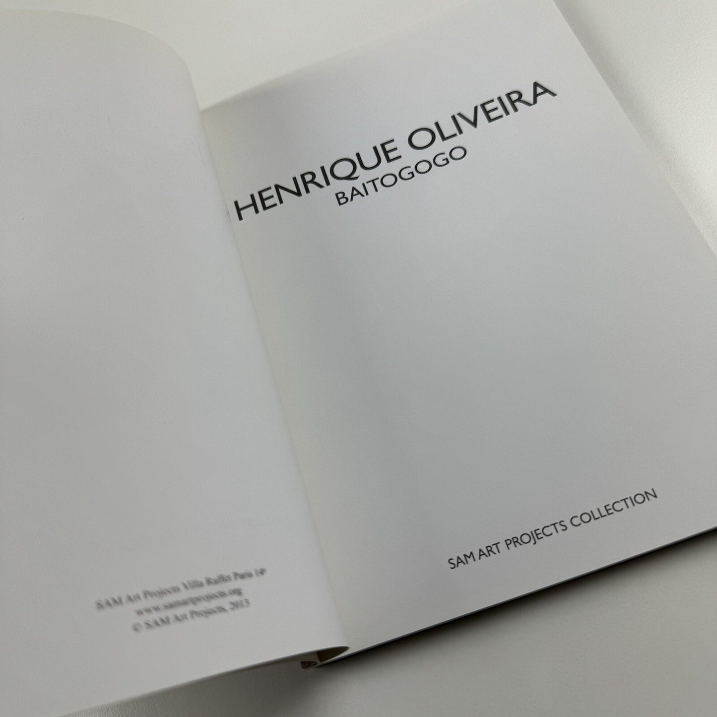 Henrique Oliveira | Marc Bembekoff, Felipe Scovino. Sam Art Projects, 2013 catalogue