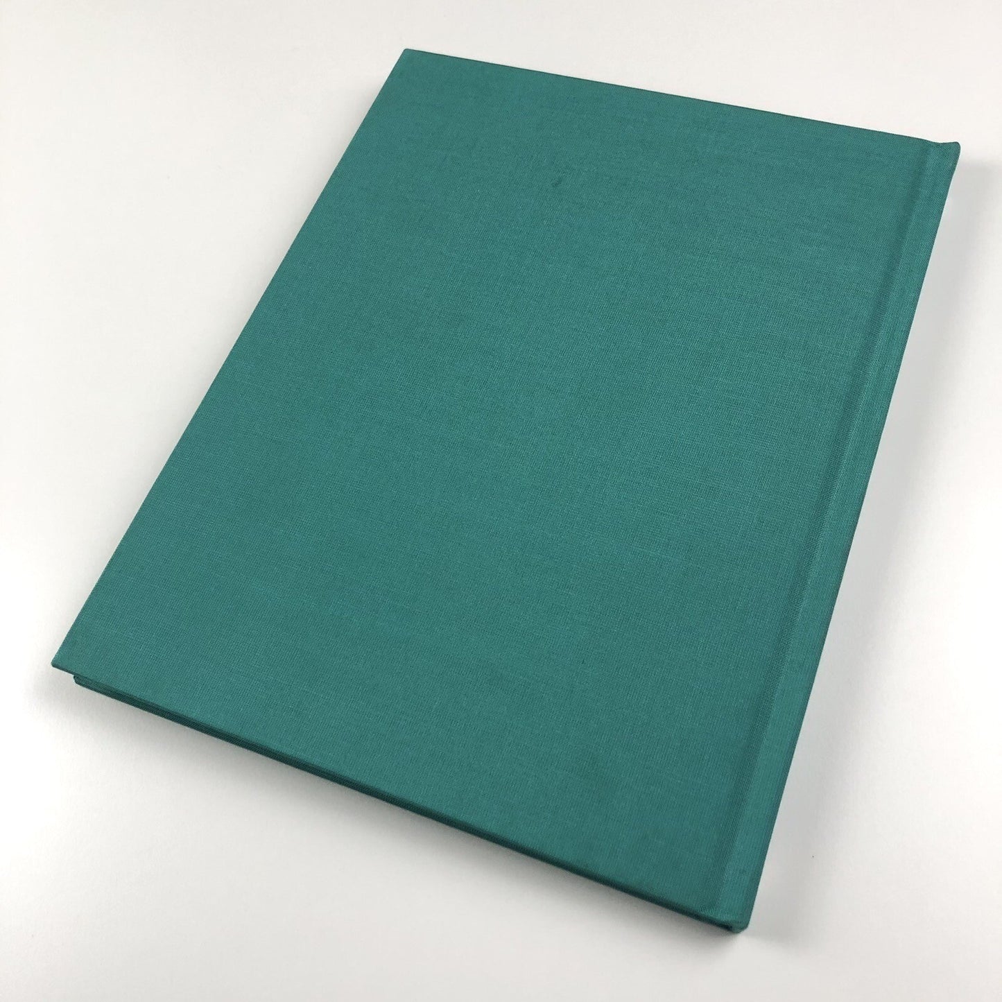 Amy Bessone / Thomas Houseago | Rennie Collection, Wing Sang, Vancouver | 2011 catalogue