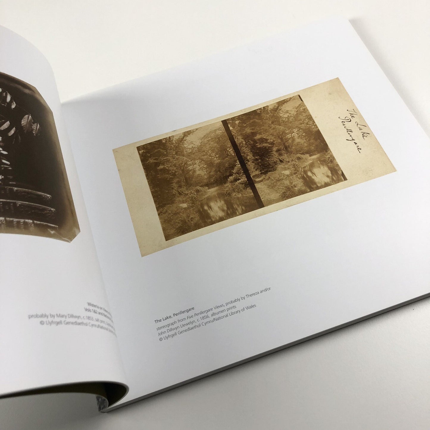 The Moon and a Smile | Glynn Vivian Art Gallery exhibition catalogue, 2017