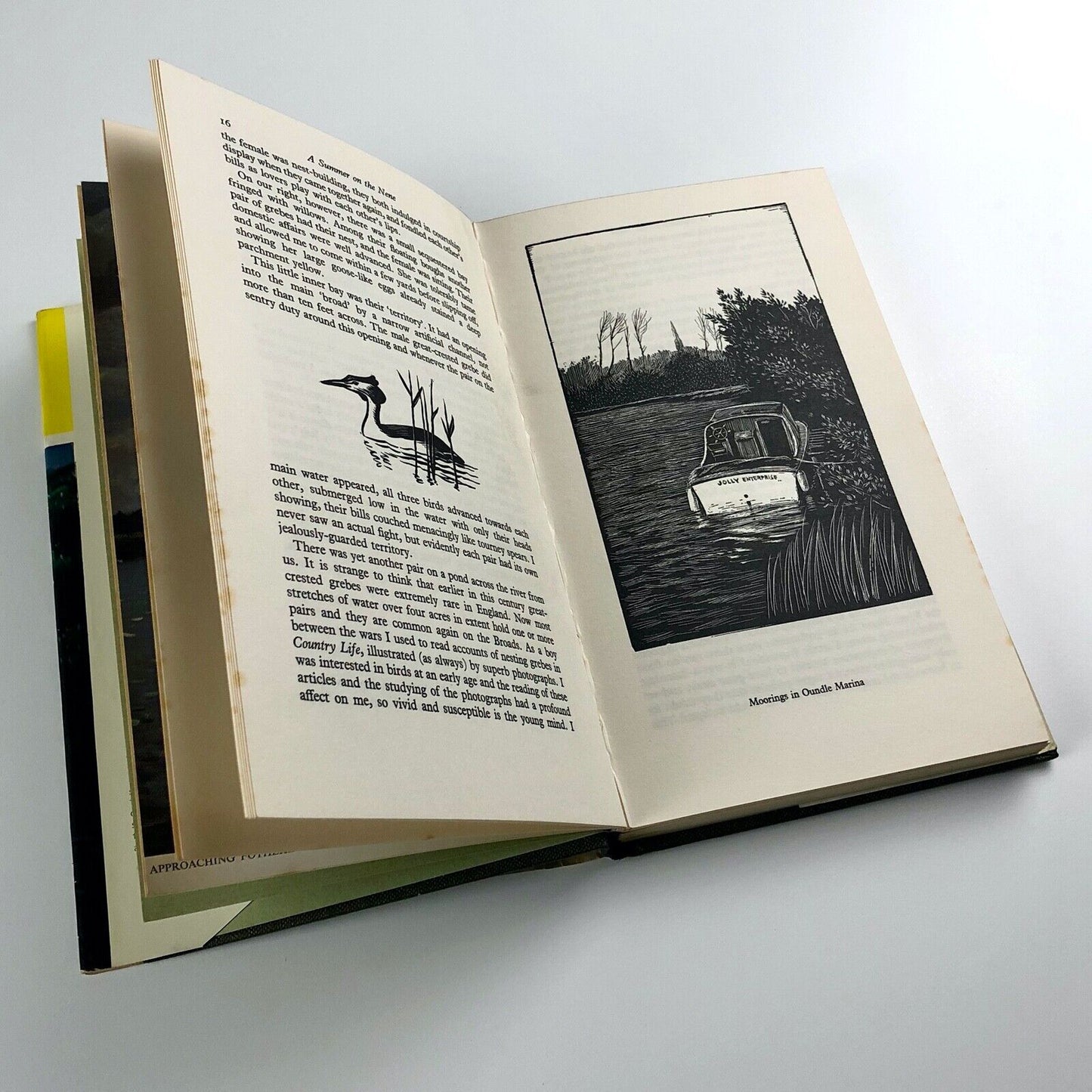 A Summer on the Nene by 'BB' | D. J. Watkins-Pitchford | Kaye & Ward Ltd, 1967 | Hardback