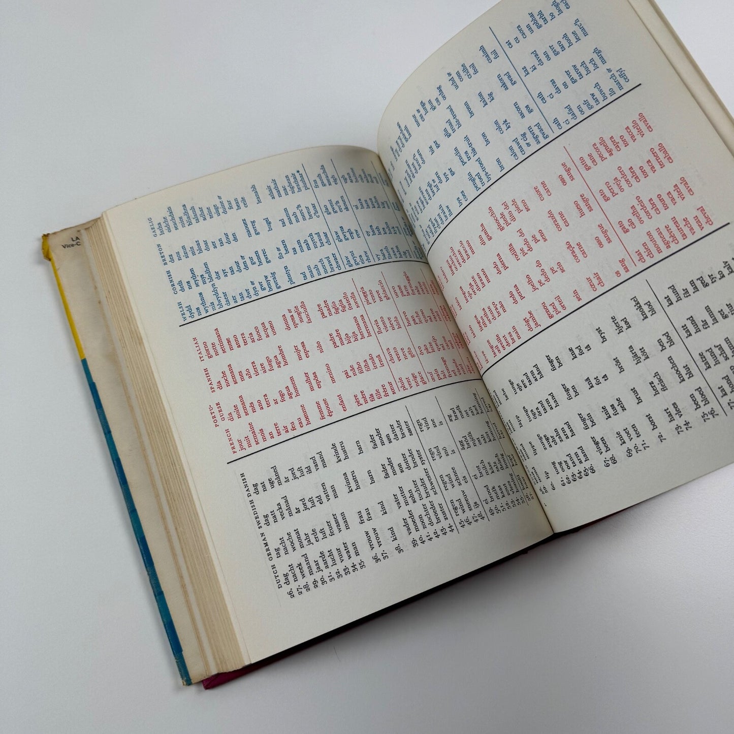 The Mother Tongue in quiz and colour by Lancelot Hogben | Secker & Warburg, 1964