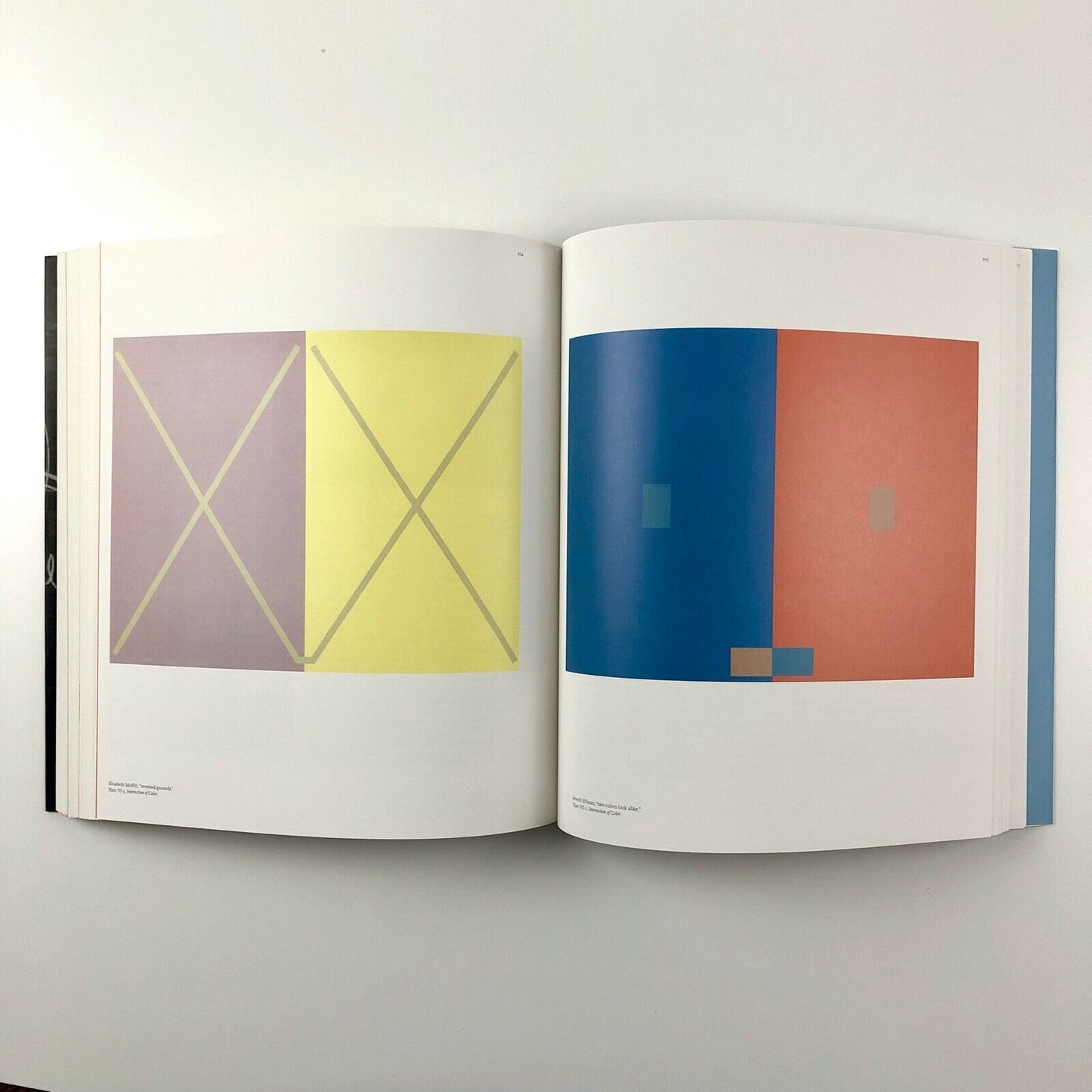 Josef Albers: To Open Eyes by F.D. Horowitz and B. Danilowitz | Phaidon, 2009