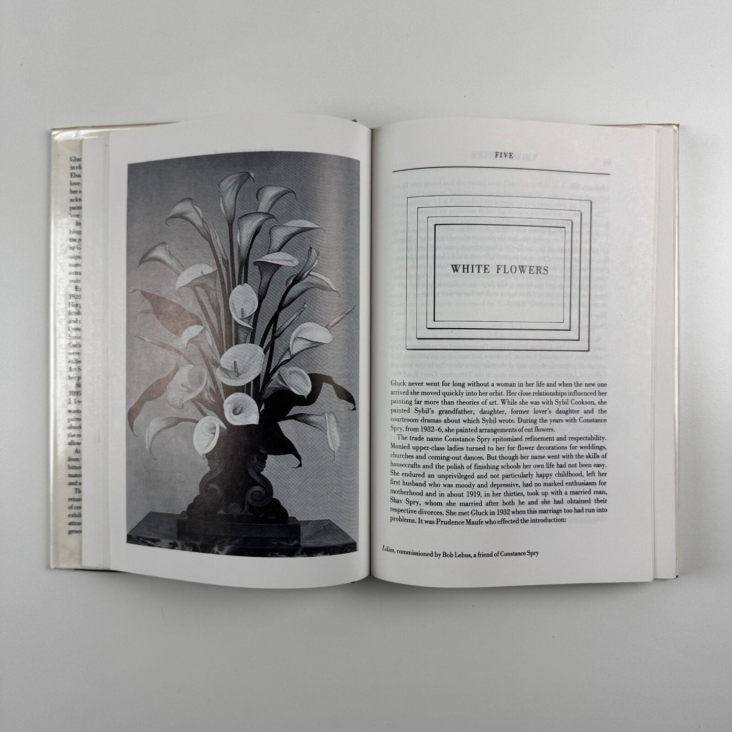 Gluck her biography by Diana Souhami | Pandora, 1988