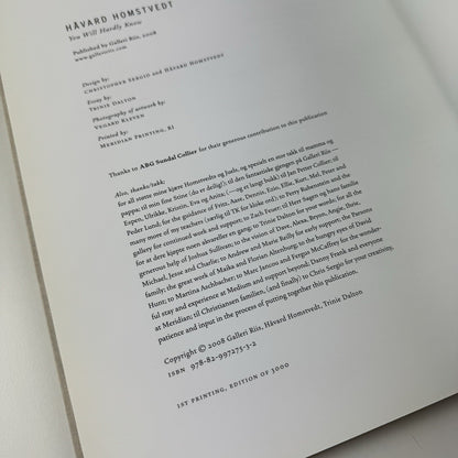 Håvard Homstvedt: You Will Hardly Know | Galleri Riis, 2008 catalogue