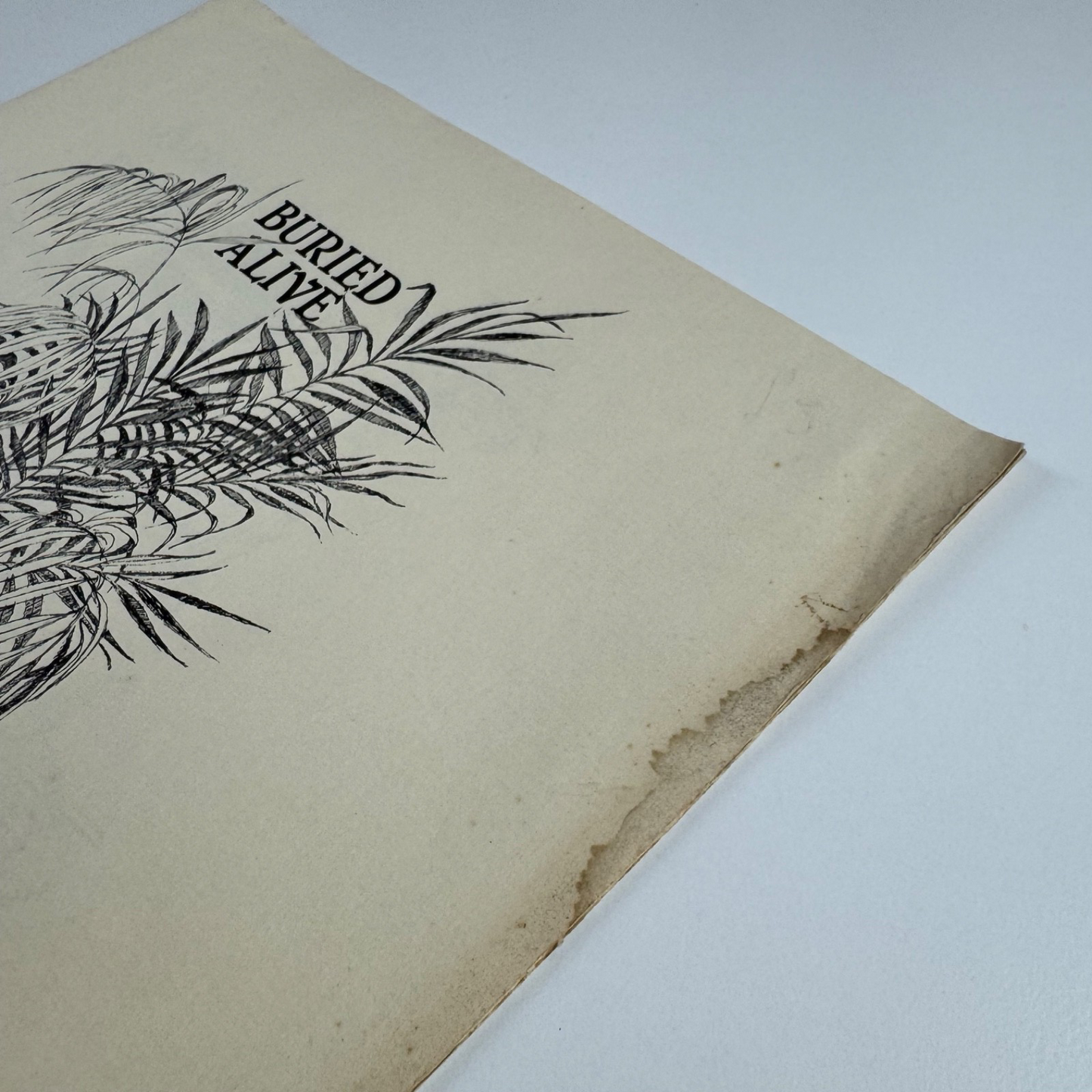 Prospectus for Buried Alive by Arnold Bennett | The Inky Parrot Press, 1985