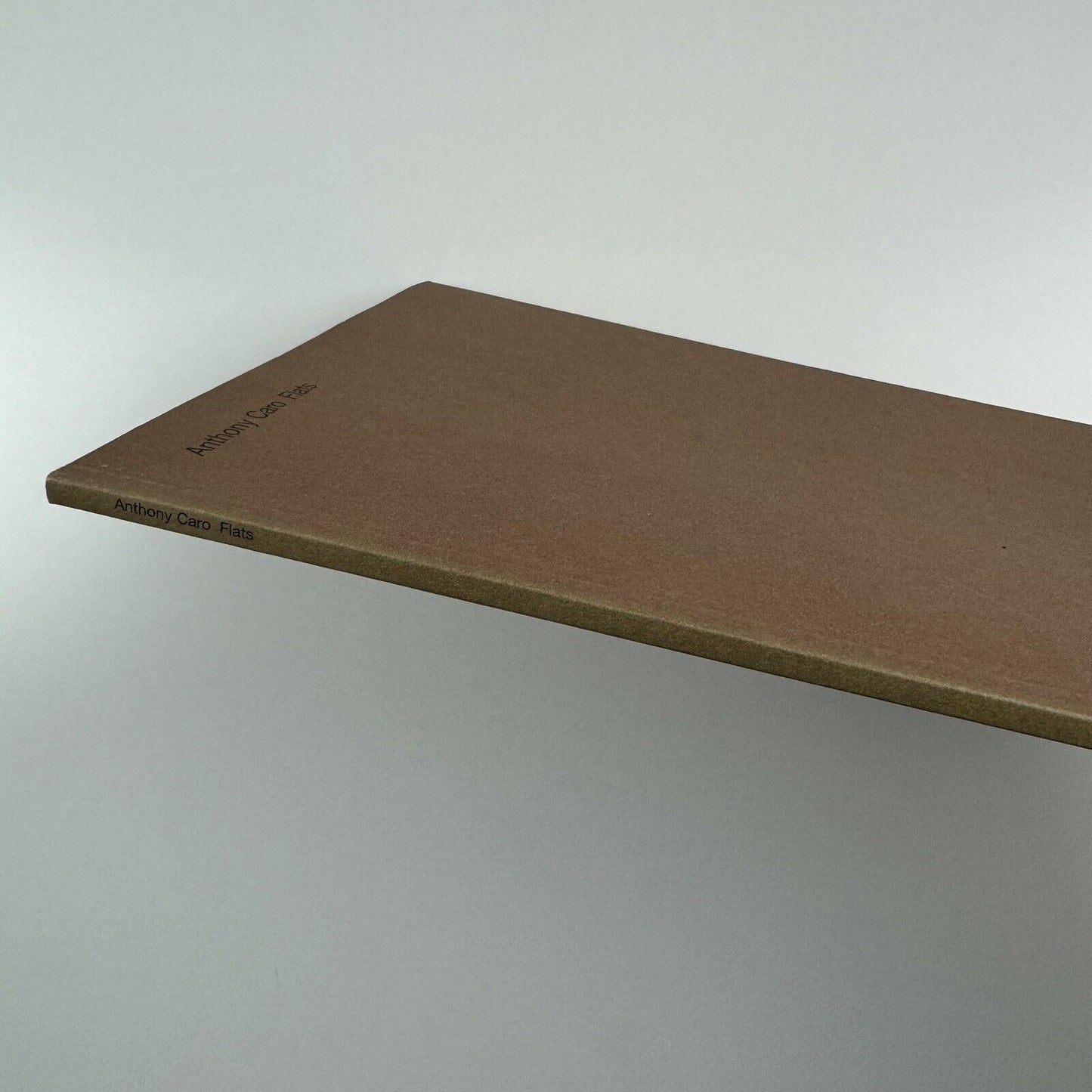 Anthony Caro: Flats (Anthony Caro & Sheila Girling) | New Art Centre, Roche Court, 2007 | edited by Jeremy Hunt