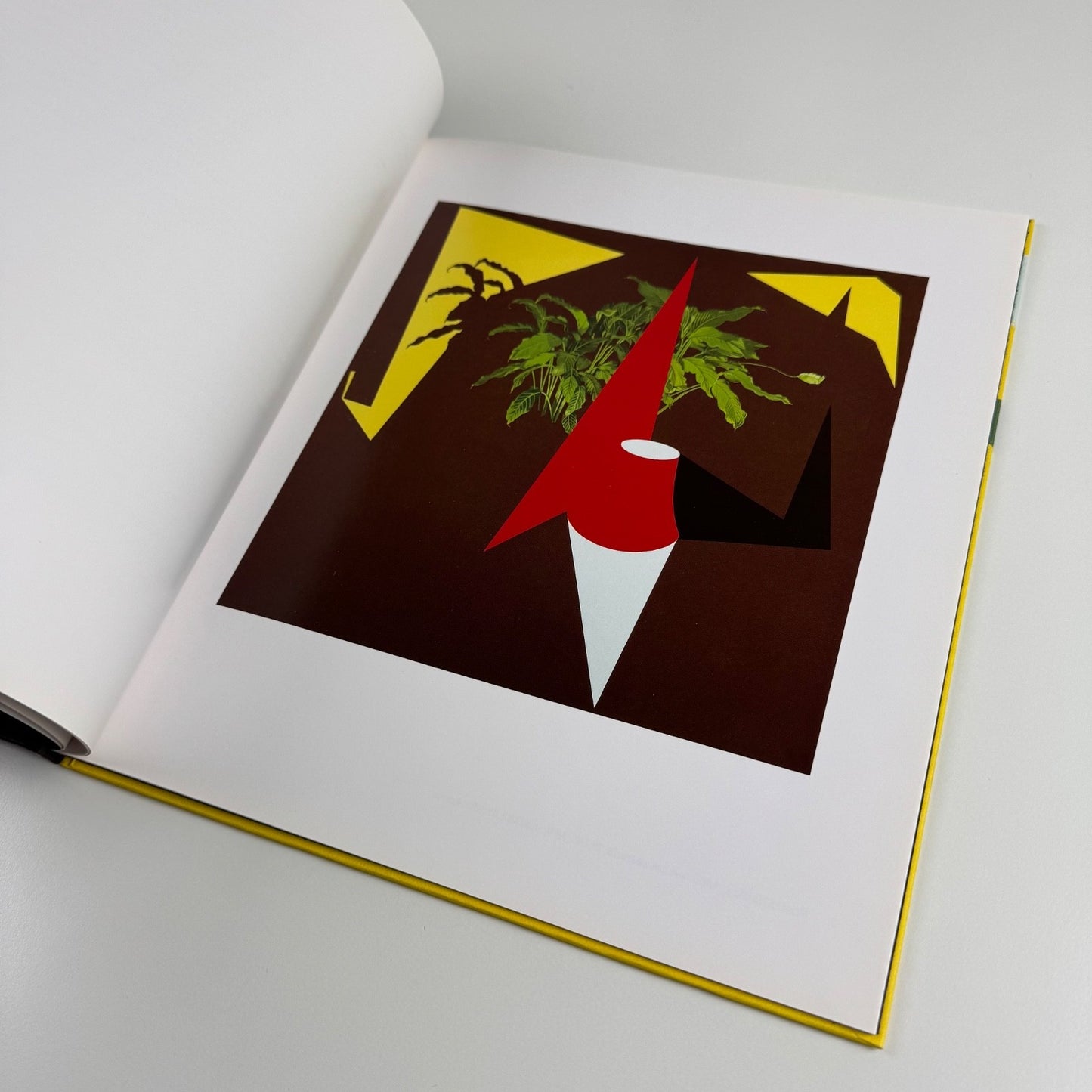 Patrick Caulfield New Paintings | Saatchi Gallery, 1997