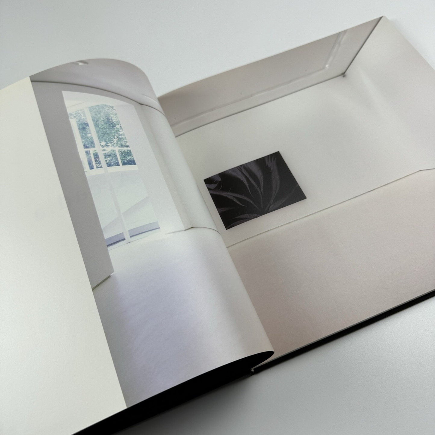 Jason Martin. Arcadia | Mário Sequeira Gallery Portugal | 2006 exhibition catalogue