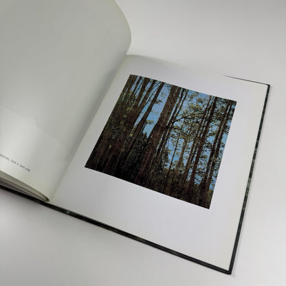 Dan Hays | Entwistle London exhibition catalogue, 2000