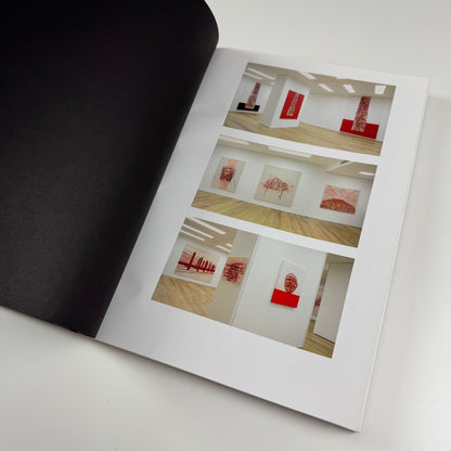 Tony Bevan. New Paintings | Ben Brown Fine Arts, 2008