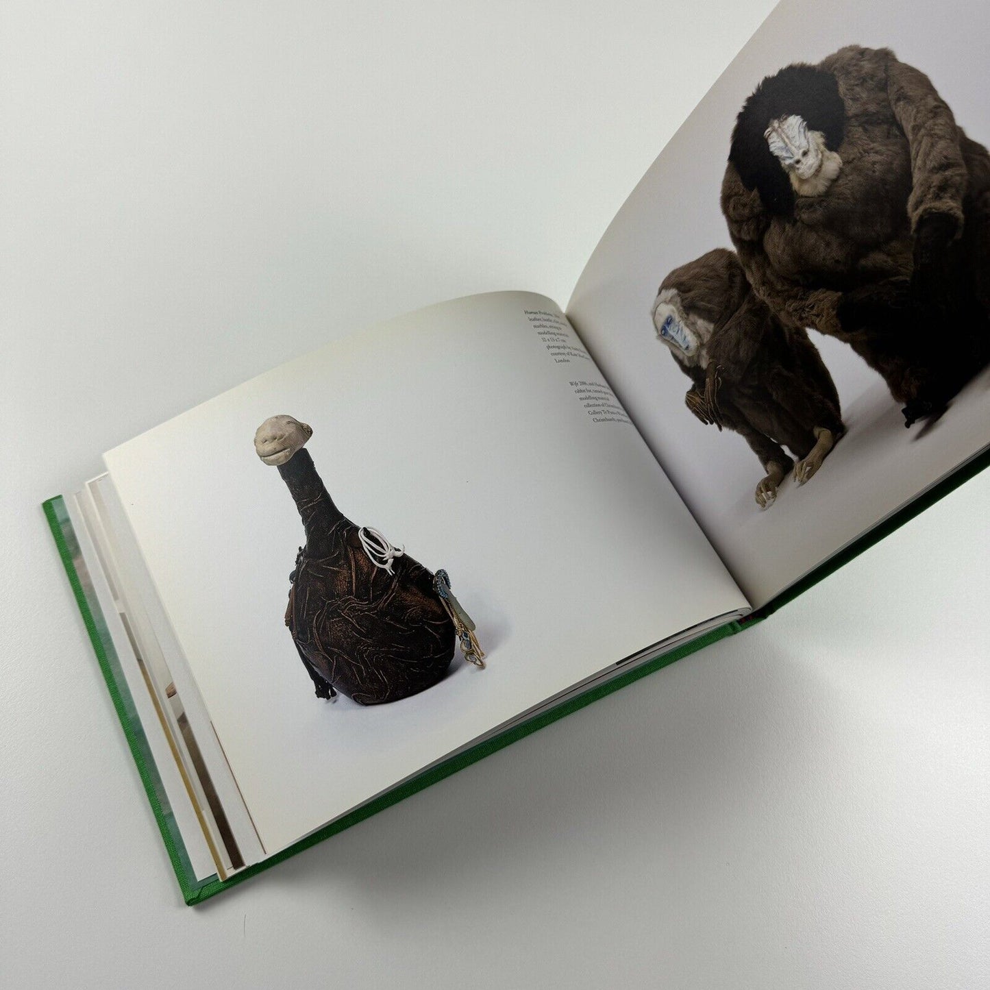 Francis Upritchard - Save Yourself | Fondazione Claudio Buziol, 2009