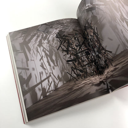 Cornelia Parker | The Whitworth Gallery, University of Manchester catalogue 2015
