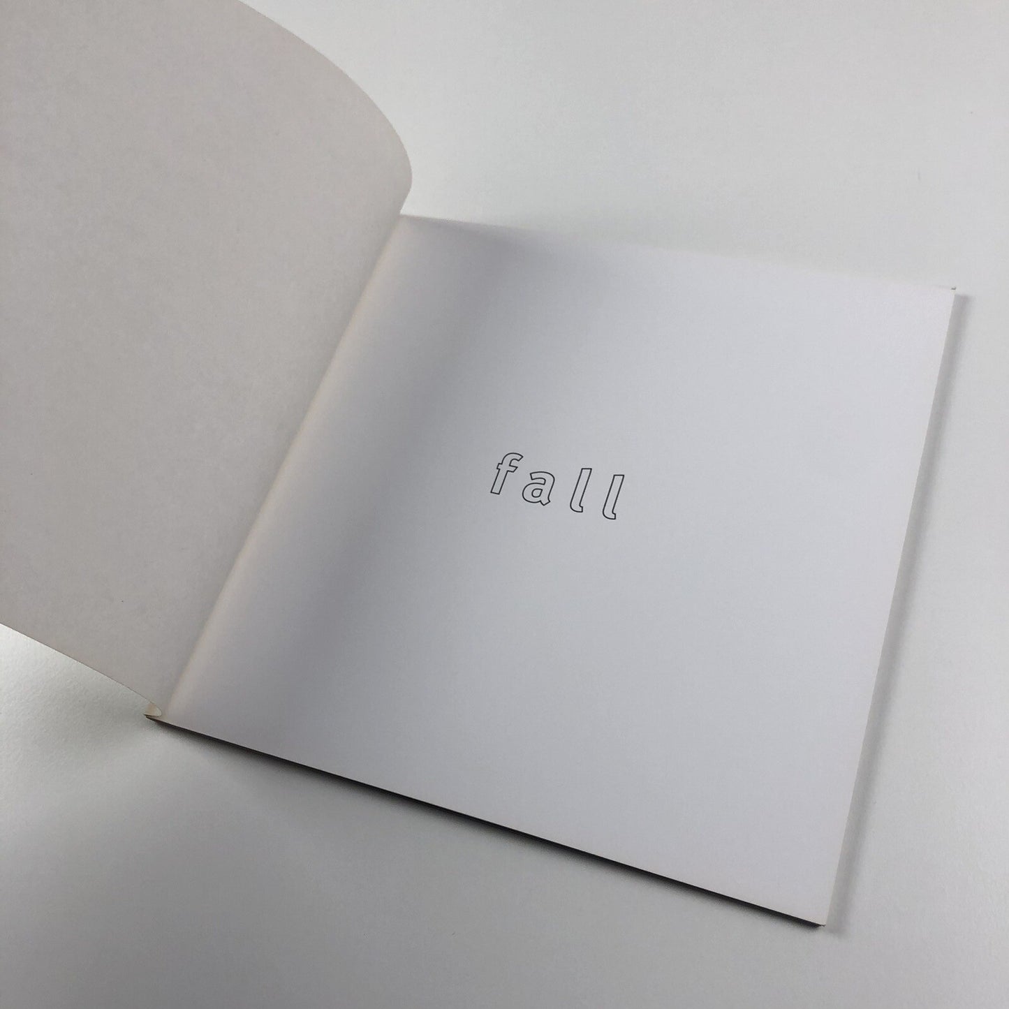Fall. Monica Ross | Chapter, Wales 1994 exhibition catalogue