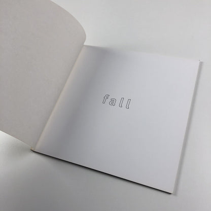 Fall. Monica Ross | Chapter, Wales 1994 exhibition catalogue