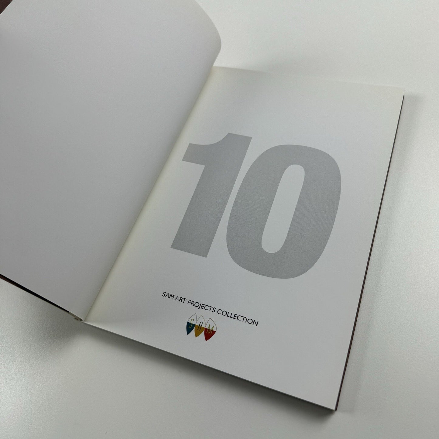 Henrique Oliveira | Marc Bembekoff, Felipe Scovino. Sam Art Projects, 2013 catalogue