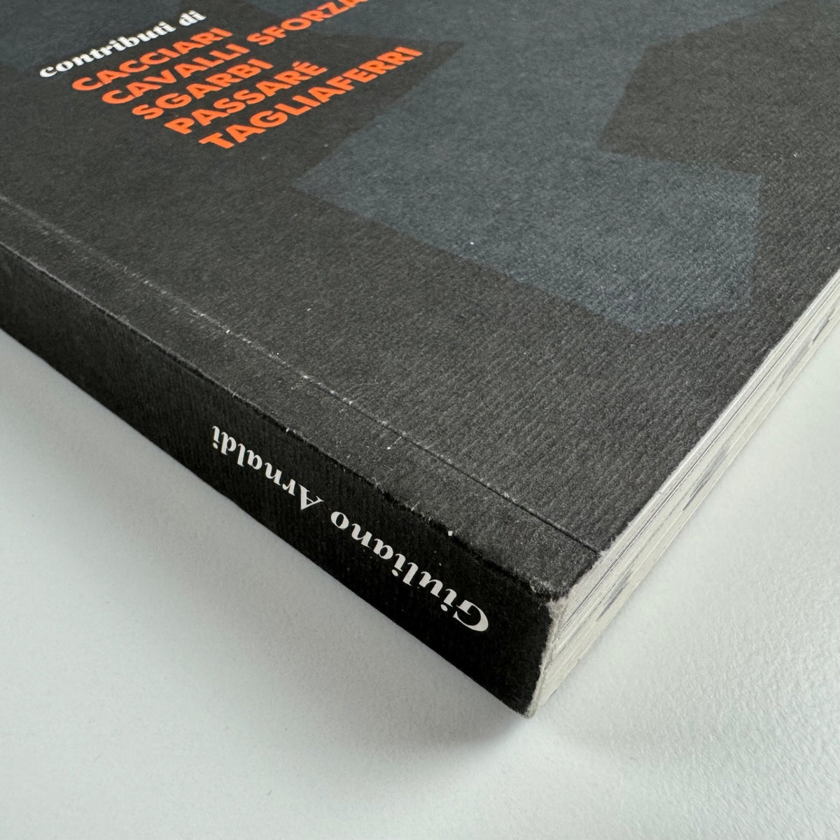 Tribaleglobale dalle Alpi nel mare all'isola di Atlante. Cacciari, Cavalli Sforza, Sgarbi, Passaré, Tagliaferri | Giuliano Arnaldi, 2004