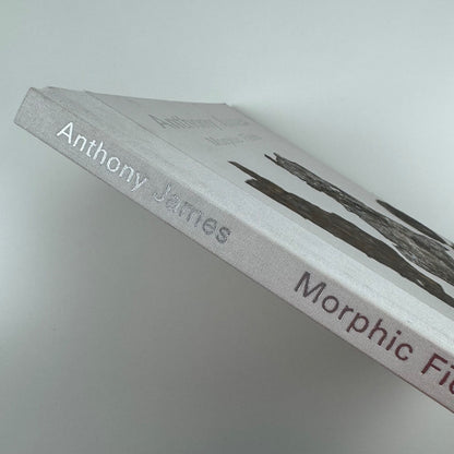 Anthony James. Morphic Fields - Skulpturen | Hatje Cantz, 2014