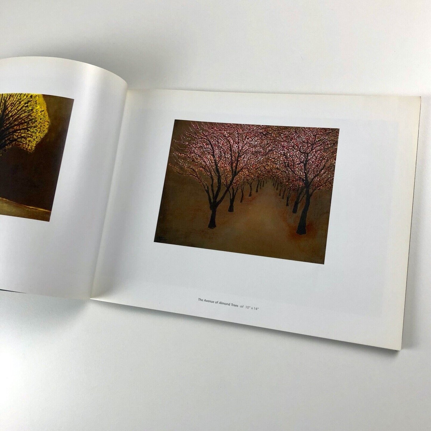 The Calling. Richard Cartwright exhibition catalogue | Adam Gallery, Bath and London 2003