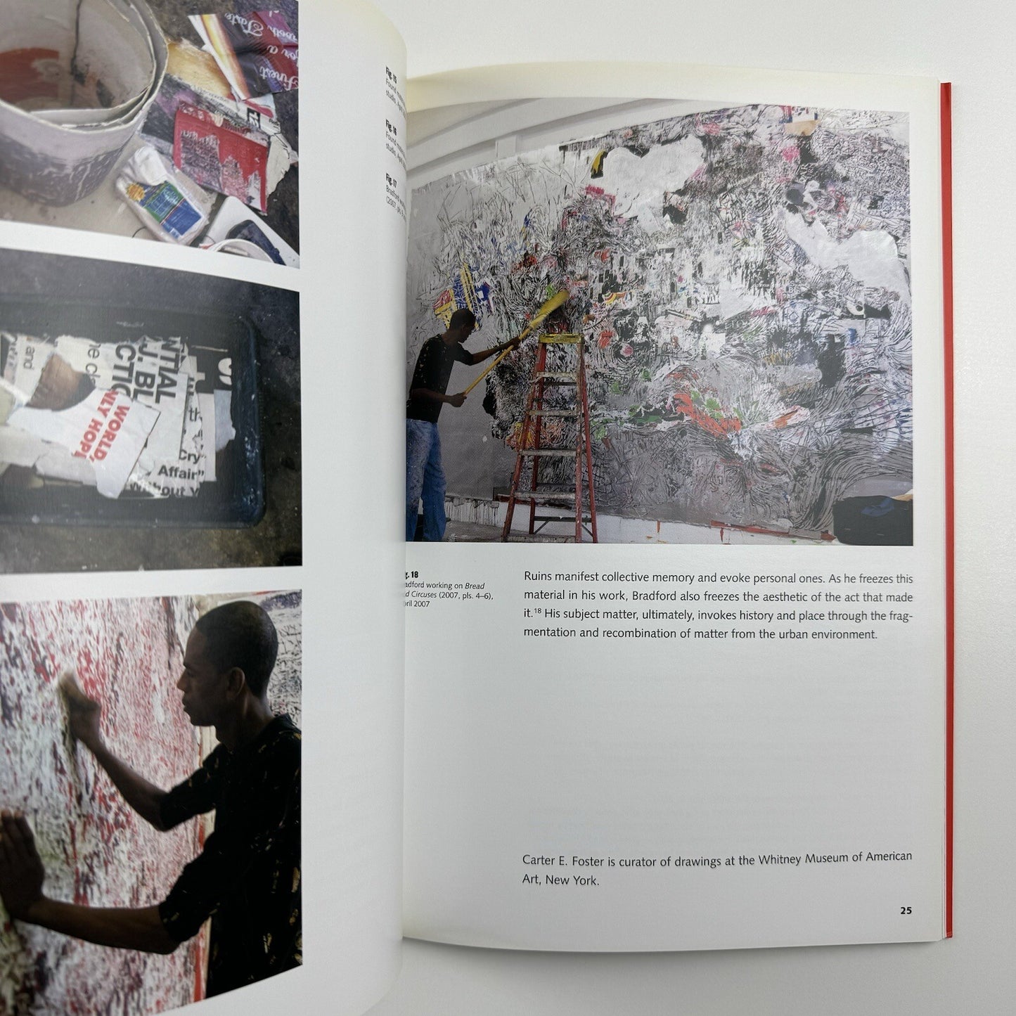 Neither New nor Correct – New Work by Mark Bradford | The Whitney Museum of Art, 2007